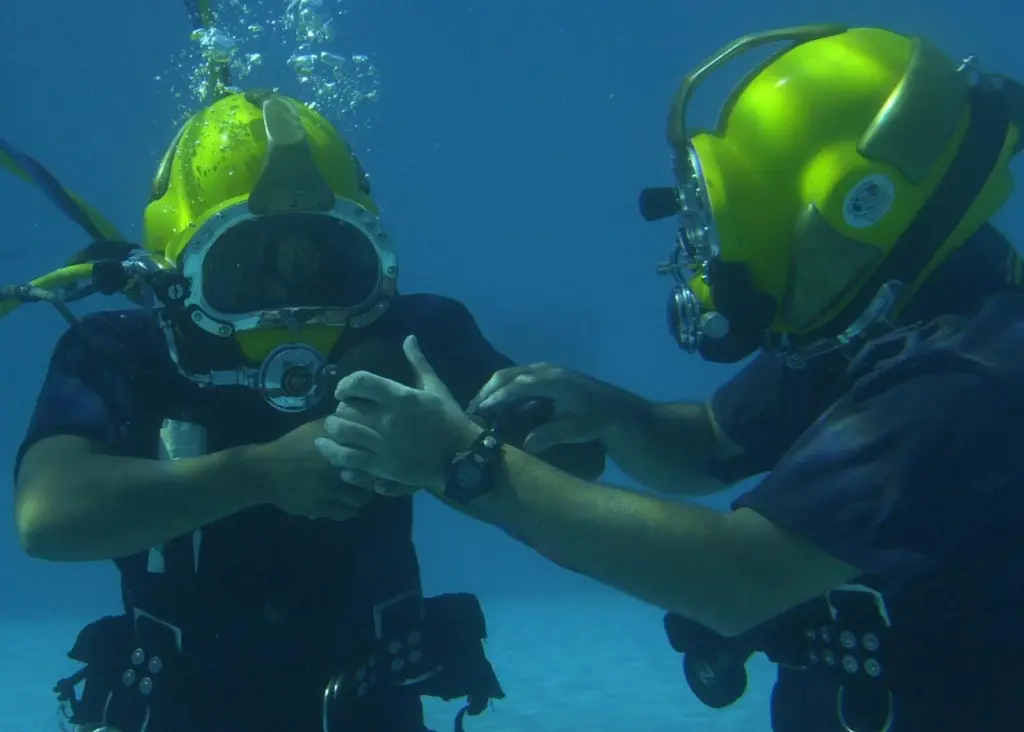 The figures show world-wide diving activity by type of personnel, world-wide diving activity by region and type of personnel.