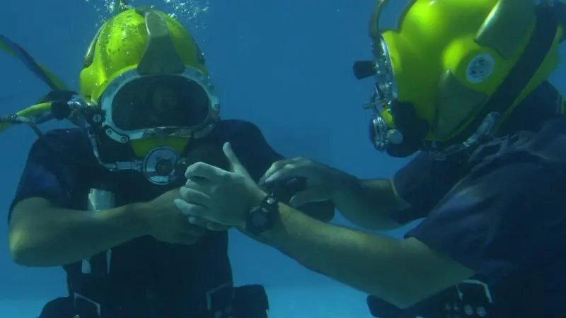 The figures show world-wide diving activity by type of personnel, world-wide diving activity by region and type of personnel.