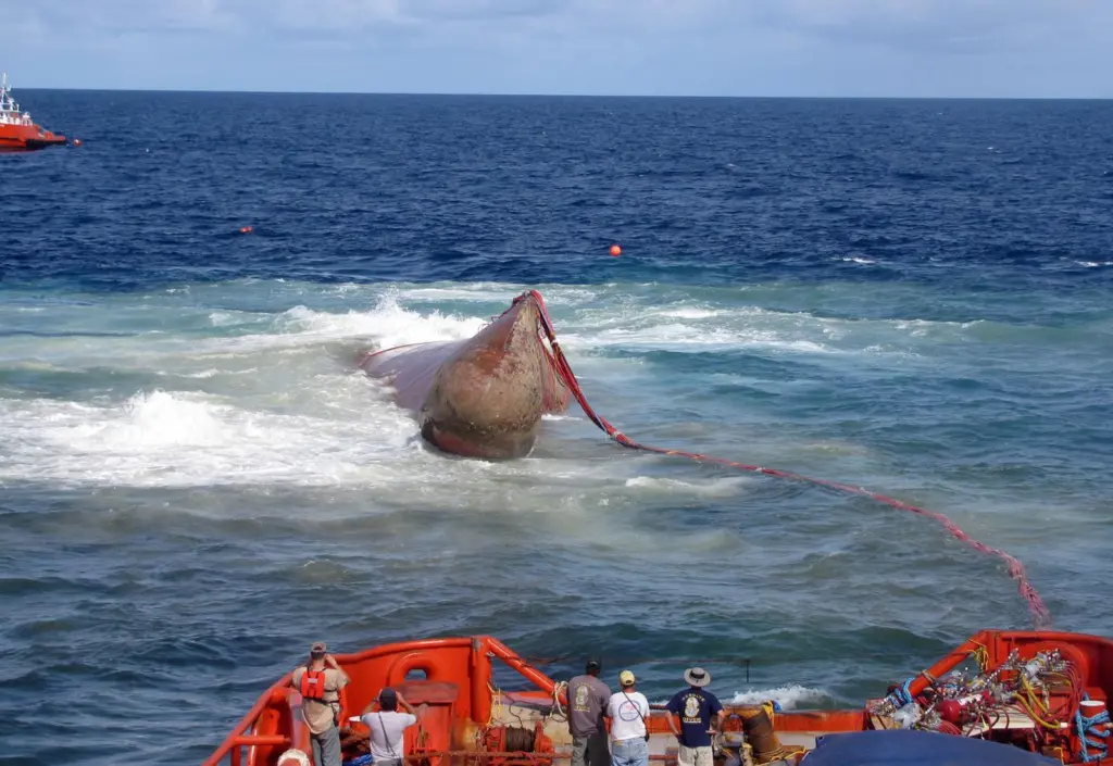 Rising from a depth of 110 feet, the bow of the Angeln container vessel is seen breaking the surface during the refloating operation.