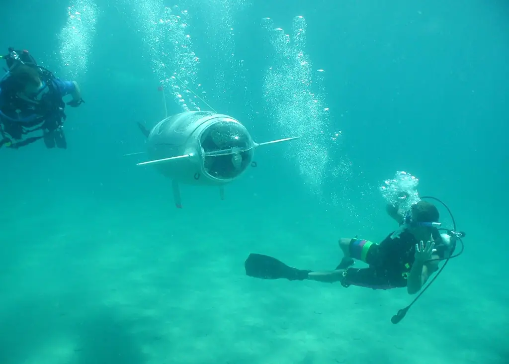 Competing teams must have designed and built their own submarines and will race them flooded, piloted and pedalled by a scuba diver.