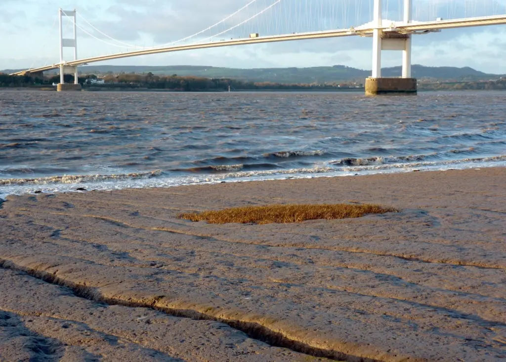 ABPmer and partners have been contracted to record sediment properties in the Bristol Channel and Severn Estuary.
