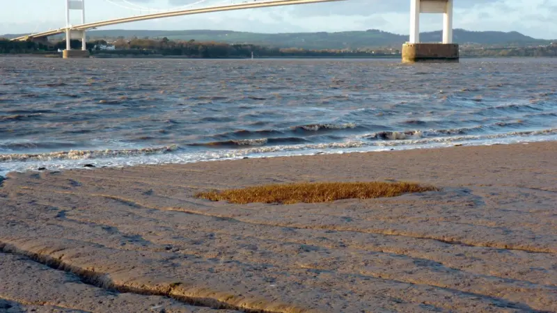 ABPmer and partners have been contracted to record sediment properties in the Bristol Channel and Severn Estuary.