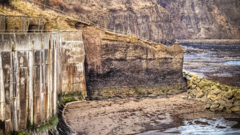 Emu Limited and its partners are studying the ecosystem services offered by coastal defence structures.