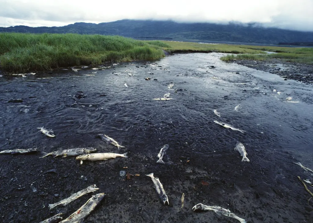 The BSC is aiming to make business better for the environment