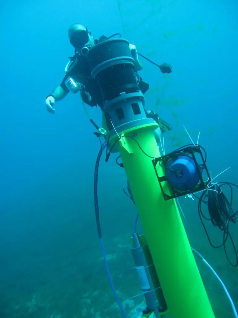 A diver inspects the installation of Sentinel sonar heads and Scylla underwater loudhailers