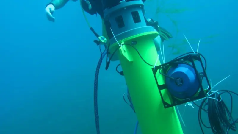 A diver inspects the installation of Sentinel sonar heads and Scylla underwater loudhailers