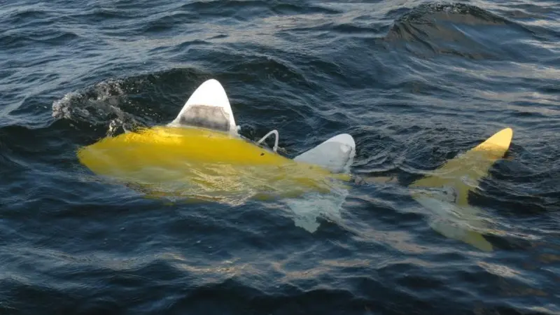 Each individual robotic fish has an array of sensors and external information that will allow it to navigate the environment