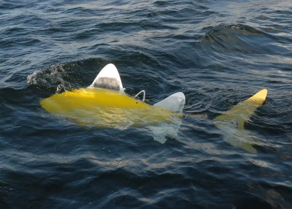 Each individual robotic fish has an array of sensors and external information that will allow it to navigate the environment