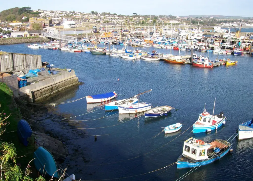 IFCAs are offering volunteers the chance to help manage England's inshore fisheries