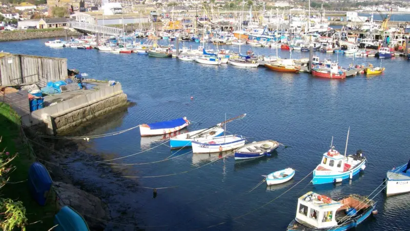 IFCAs are offering volunteers the chance to help manage England's inshore fisheries