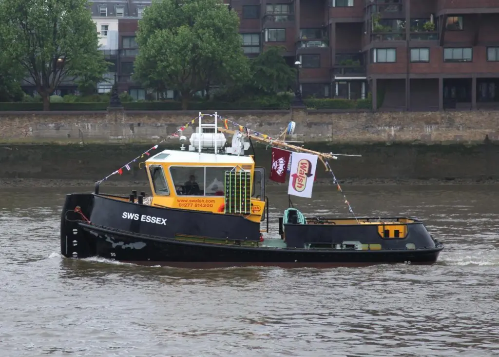 SWS Essex turned out for the Diamond Jubilee Pageant in June