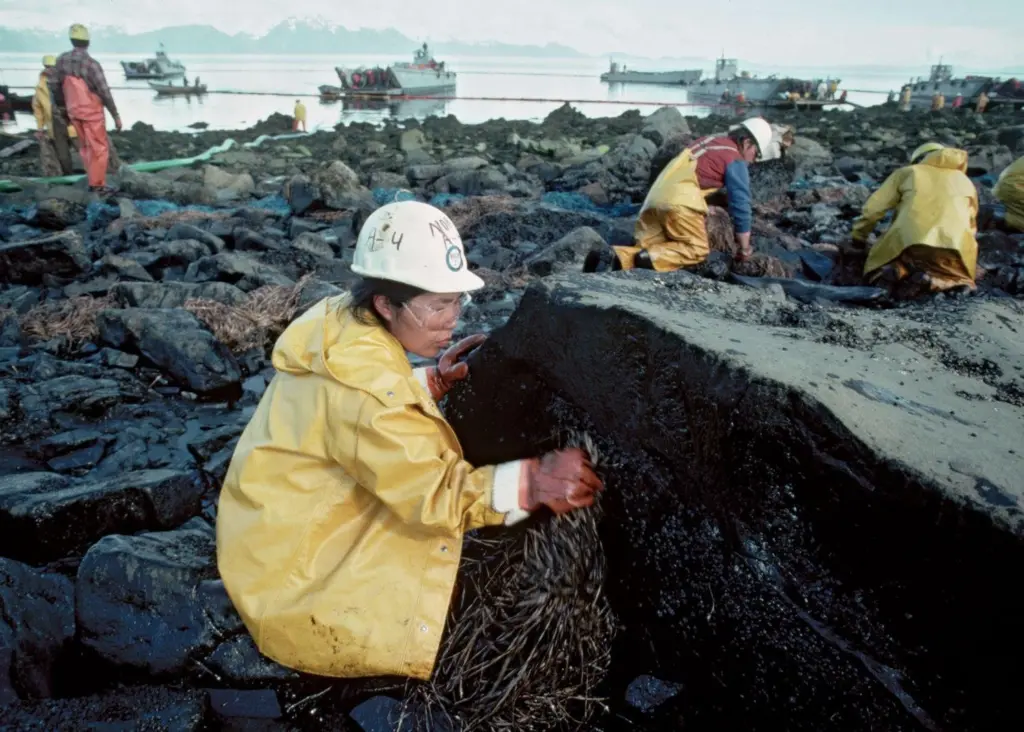 Bioremediation was not widely used until the Exxon Valdez oil spill disaster in 1989
