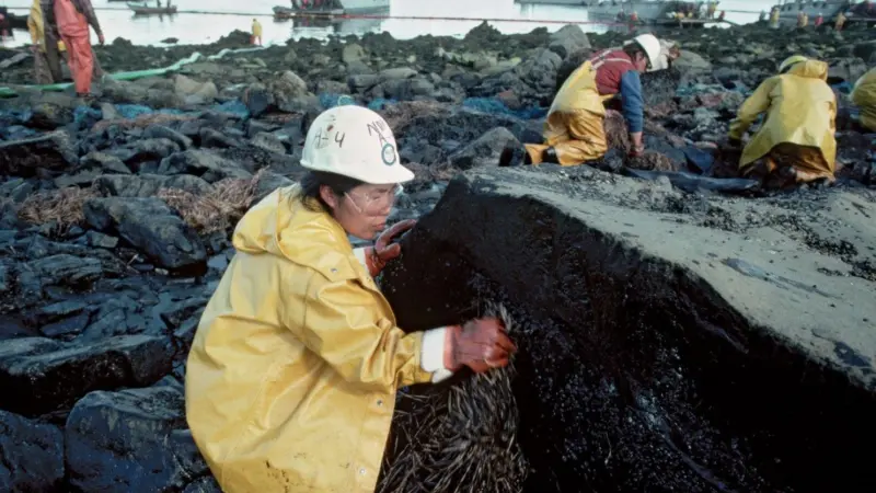 Bioremediation was not widely used until the Exxon Valdez oil spill disaster in 1989
