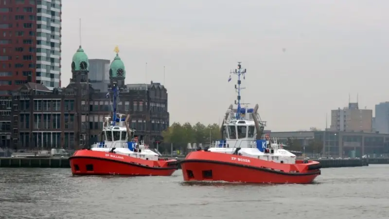 The ‘ZP Bulldog’ and ‘ZP Boxer’