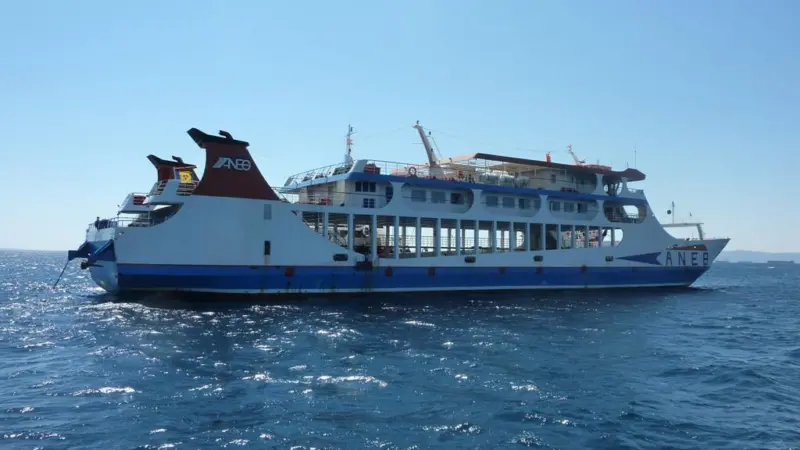 The ‘Thassos VII’ has been safely delivered to Chile by Redwise