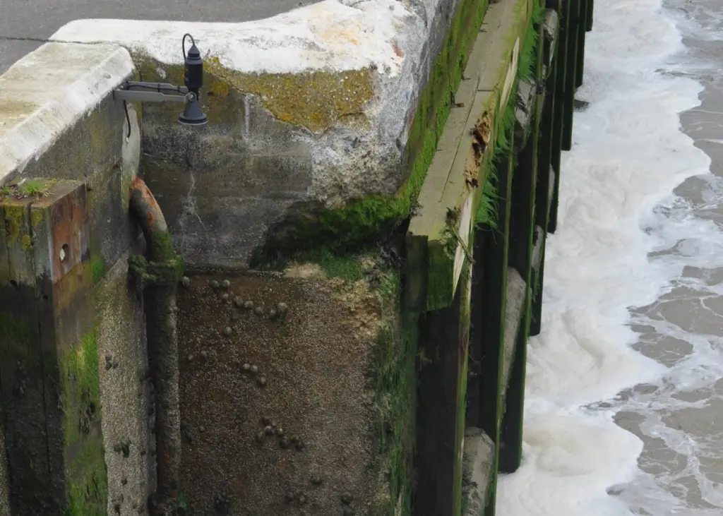 The inconspicuous unit does the job of monitoring water levels so the gates of the Prince Phillip lock remain undamaged