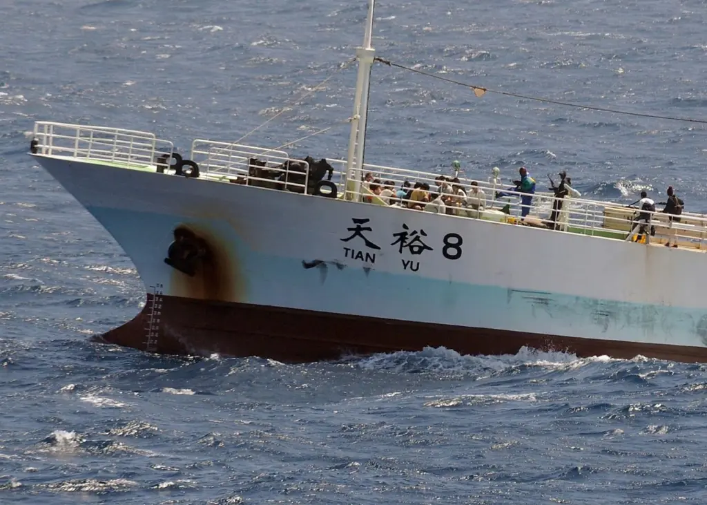 The Committee expressed concerns over piracy off the west and central coast of Africa