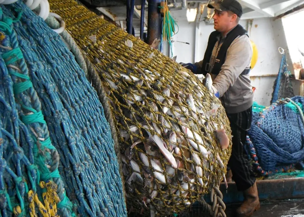Forewind’s survey of the Dogger Bank site has included fish ecology surveys