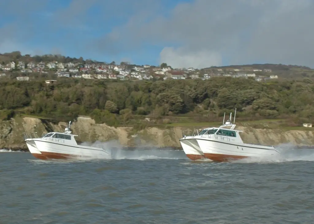 The Cheetah twins leave the Isle of Wight last month en route to new homes in Holland and Belgium