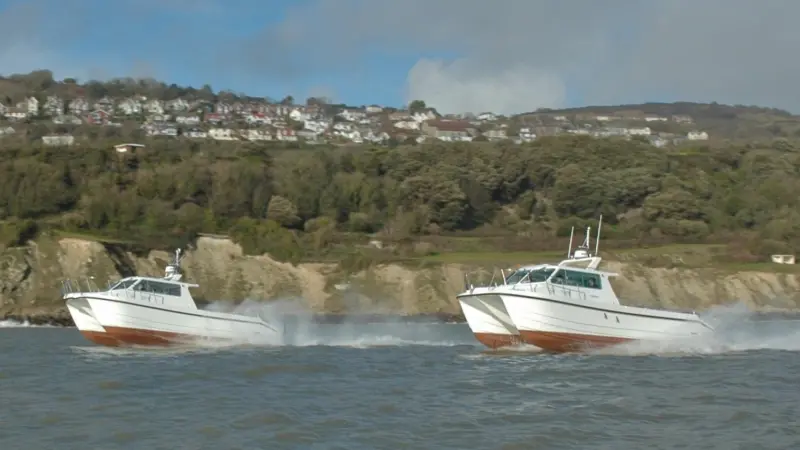 The Cheetah twins leave the Isle of Wight last month en route to new homes in Holland and Belgium