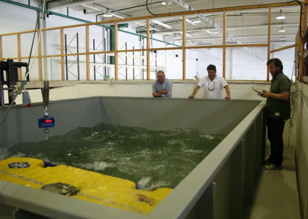 HullWiper's Gothenburg unit undergoing tank testing