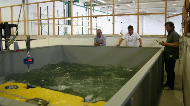 HullWiper's Gothenburg unit undergoing tank testing