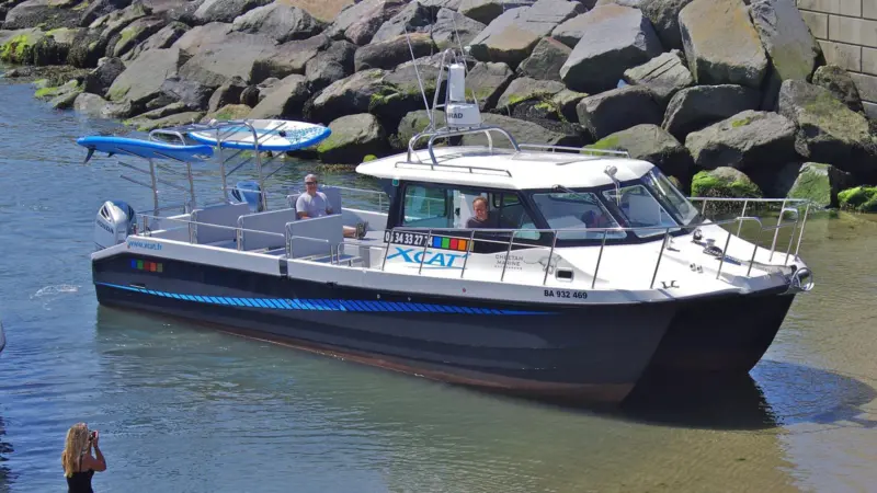 Cheetah Marine's new X-Cat showcases the range of commercial applications