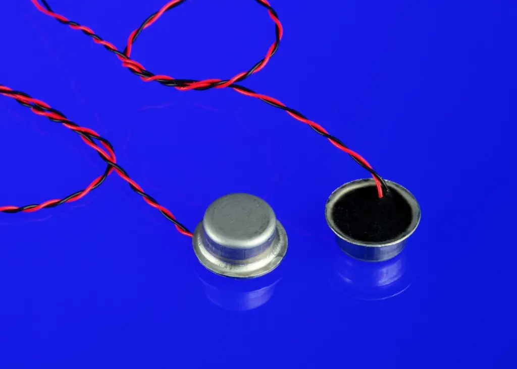 Products available include liquid and gas flow measurement and level/distance detection, while additional ultrasonic assessment can be made