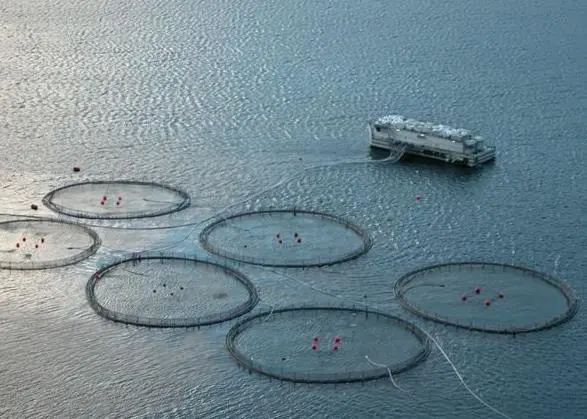 A fish farm off the Azores (Photo: Wikipedia Commons)