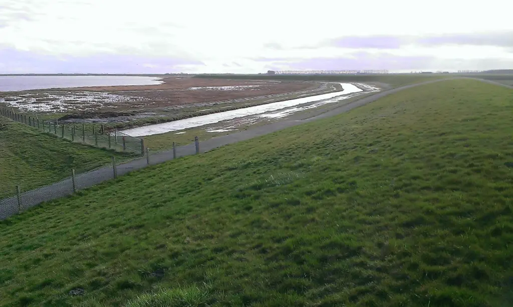 The advantages of broad green dikes in the Netherlands are being highlighted (Deltares)