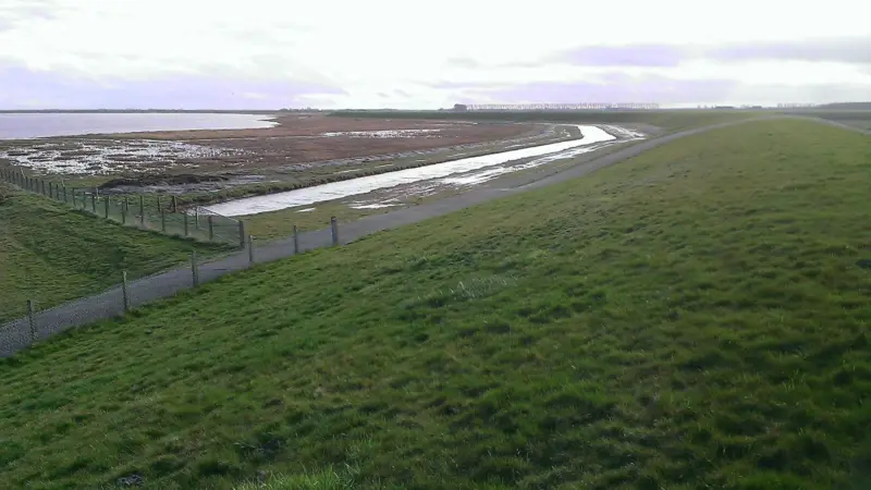 The advantages of broad green dikes in the Netherlands are being highlighted (Deltares)