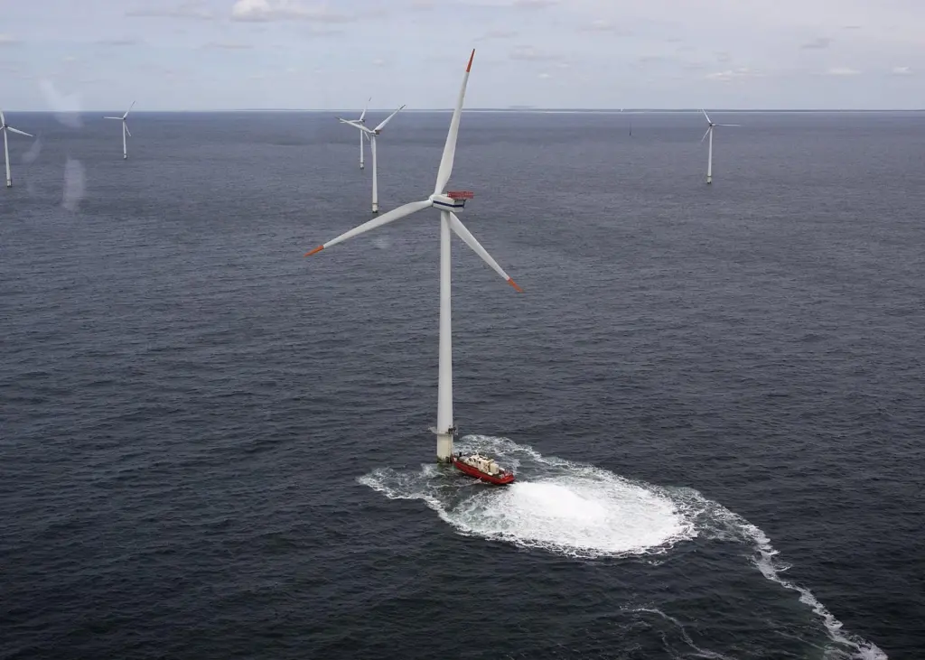 Vattenfall already owns a 60% stake of the Horns Rev 1 windfarm Photo: Heidi Lundsgaard/Vattenfall