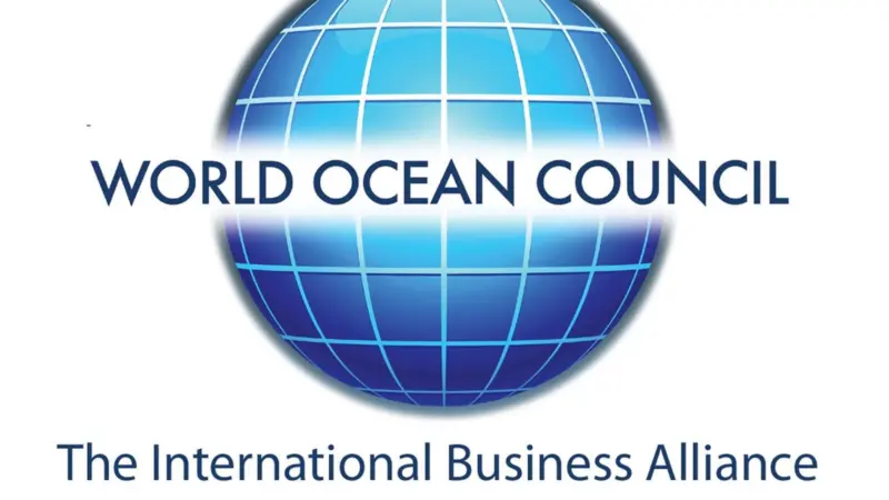 Through the WOC, Damen says it can better work with the industry to develop designs needed to create business opportunities and business solutions in support of cleaner vessels