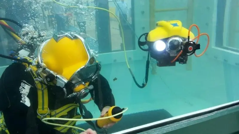 The dive tank has proved a hit in previous years