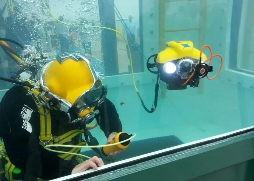 The dive tank has proved a hit in previous years