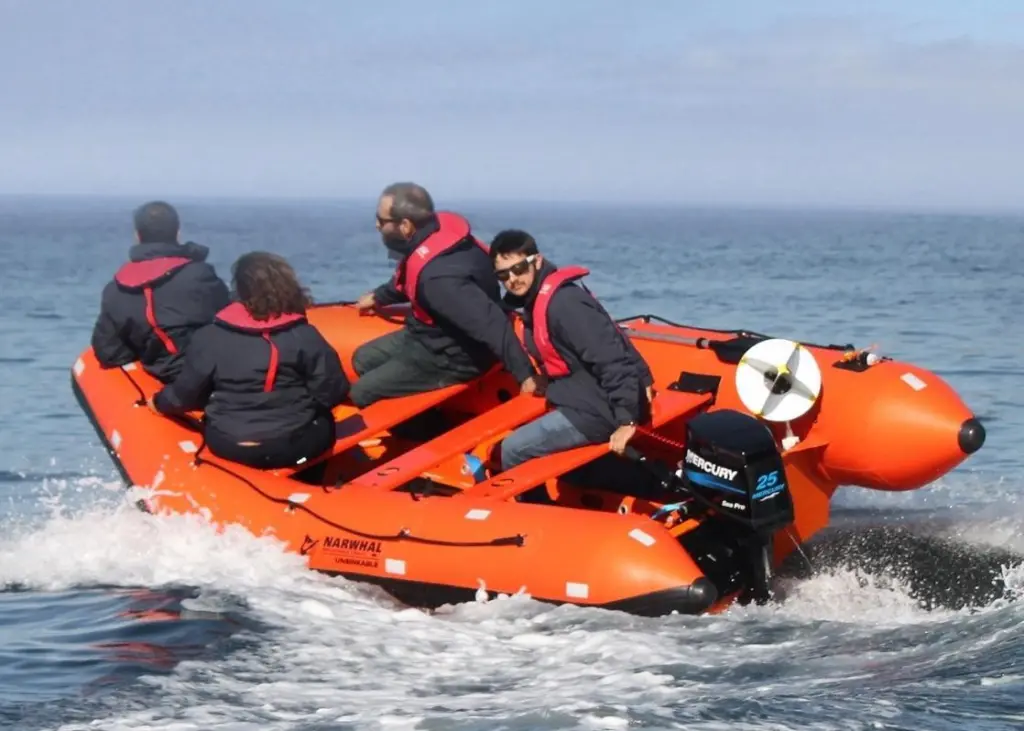 The Narwhal SV-420 fully compliant rescue boat