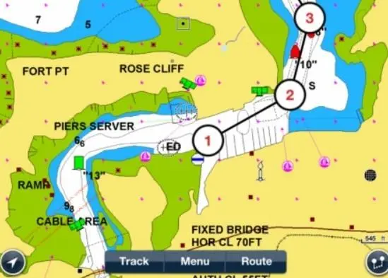 Just plot the starting point, usually the harbour you are leaving and the finish point of the voyage