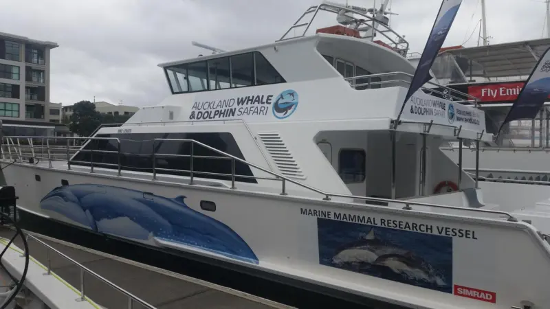 Dolphin Explorer: a catamaran used for “New Zealand’s only research-based marine mammal experience”