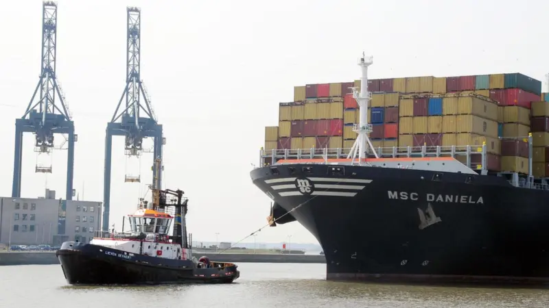 MSC Daniela - one of the green ships to call at the port of Antwerp