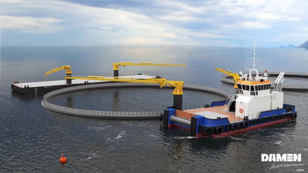 Froy Vest's Multi Cat will work in the fish farm industry (Damen)