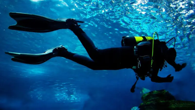 SAES system can ‘hear’ divers