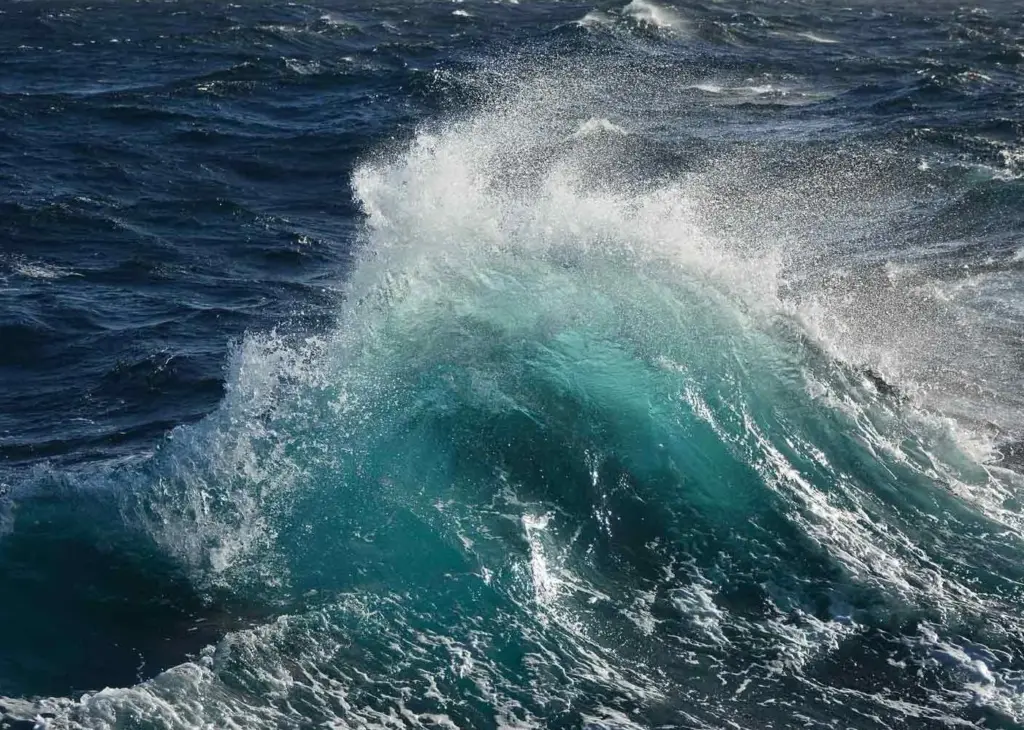 Ocean Wave Rower will convert the natural motion of the waves into clean energy