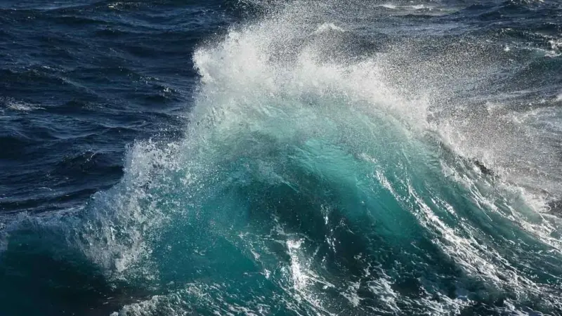 Ocean Wave Rower will convert the natural motion of the waves into clean energy