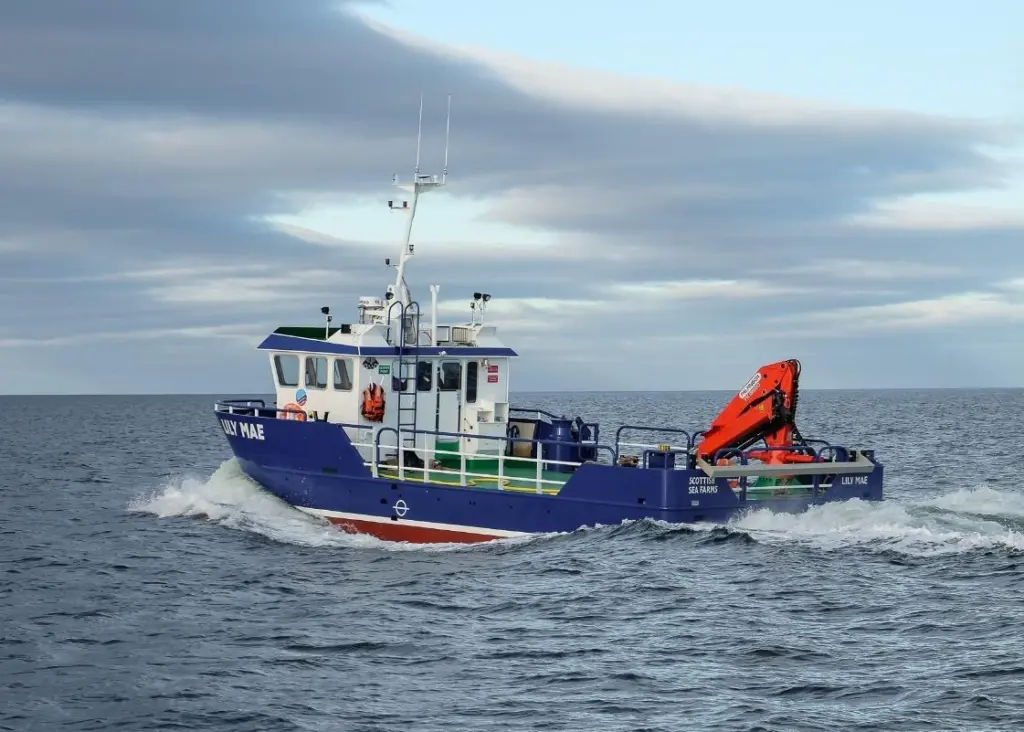 The vessel was designed between the yard and Macduff Ship Design who also created the hull construction plans and drew the profiles for the steel kit