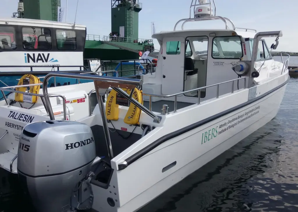Two new custom Cheetah's were on show at Seawork