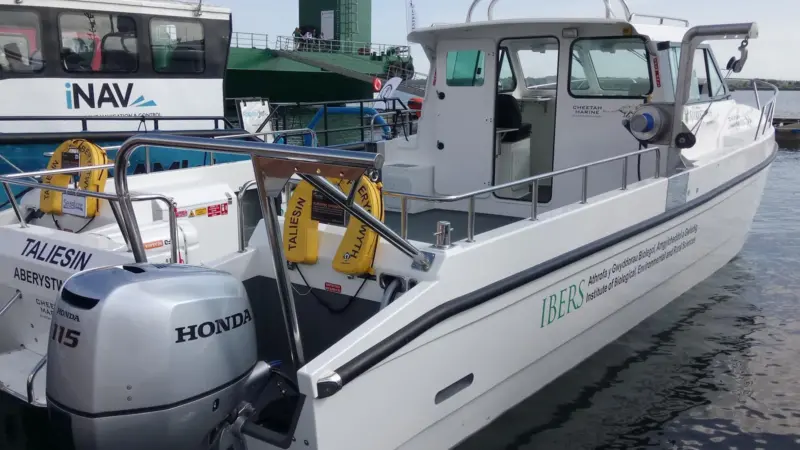 Two new custom Cheetah's were on show at Seawork