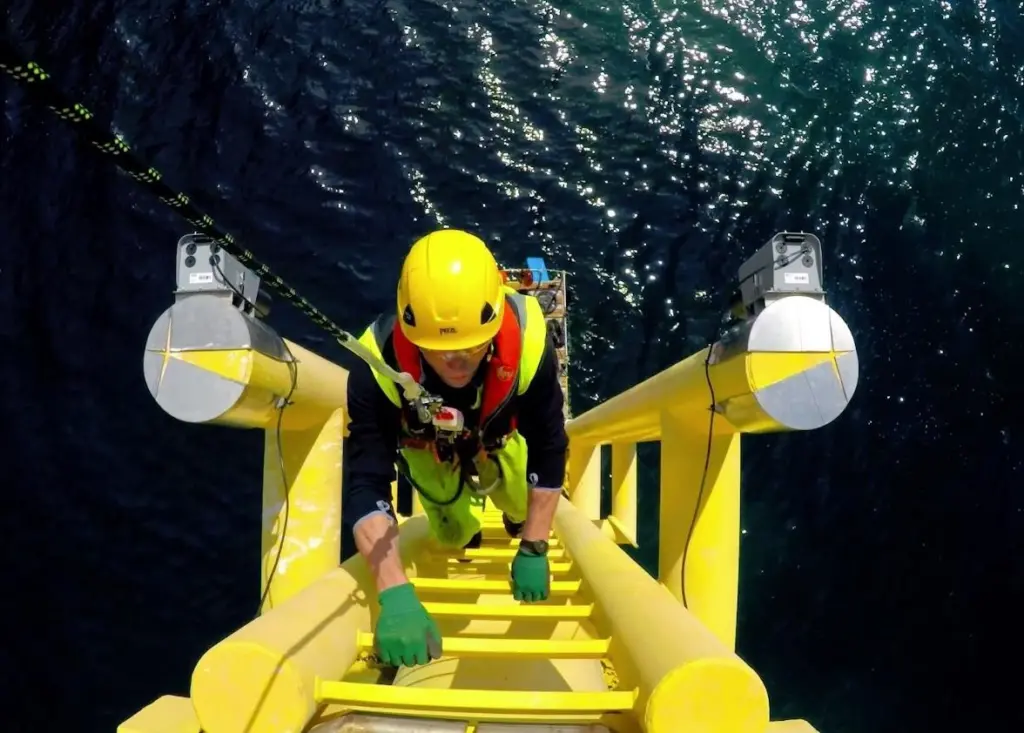 A technician accesses an offshore turbine during the O&M phase