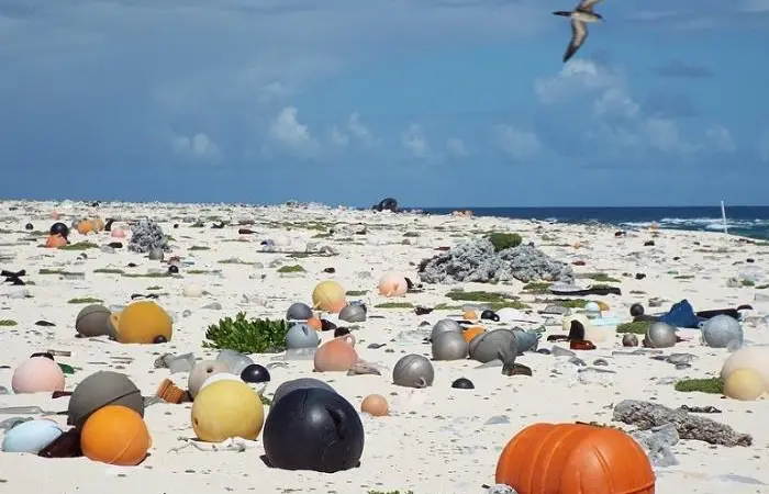 Beach litter consisting mainly of discarded fishing gear (Photo: Creative Commons/ Forest/Kim Starr)