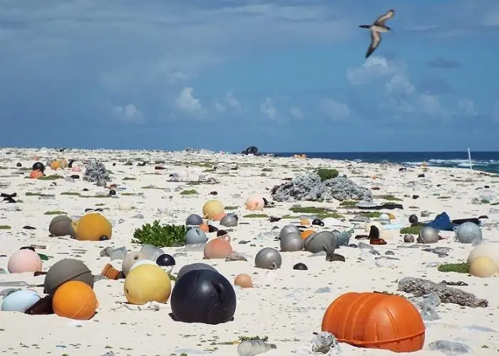 Beach litter consisting mainly of discarded fishing gear (Photo: Creative Commons/ Forest/Kim Starr)