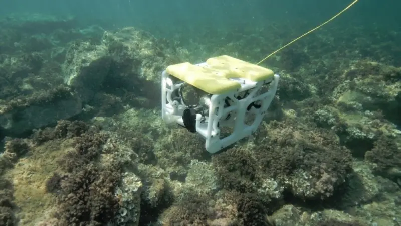 Sibiu Nano from Nido Robotics